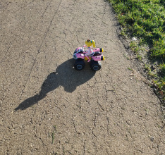 Mario Kart™ - Peach Quad