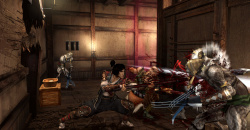 Onimusha 2: Samurai's Destiny