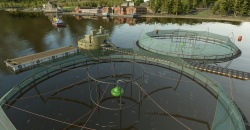 Farming Simulator 25: Highlands Fishing Edition