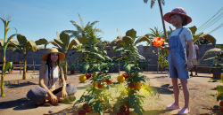 inZOI: Inselparadies