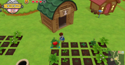 Harvest Moon: Eine Welt