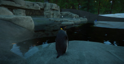 Planet Zoo: Aquatic Pack