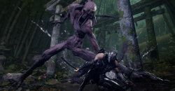 Ninja Gaiden 4
