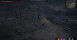 UNSEEN LAND: INTO THE MIST