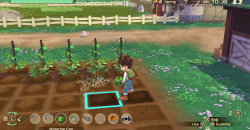 STORY OF SEASONS: A Wonderful Life