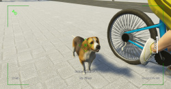 Photographer's Life Simulator