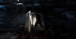 The Midnight Walkers