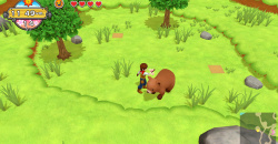 Harvest Moon: Eine Welt