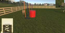 Animal Trainer Simulator