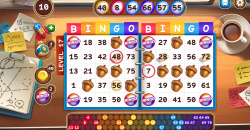 Bingo Beavers - Board game & Design