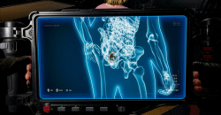 Quarantine Zone: The Last Check