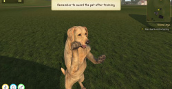 Animal Trainer Simulator