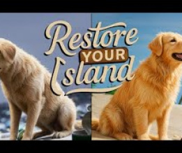 Restore Your Island - Demo Gameplay