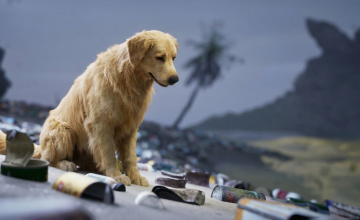 Restore Your Island ! new trailer reveals the release date