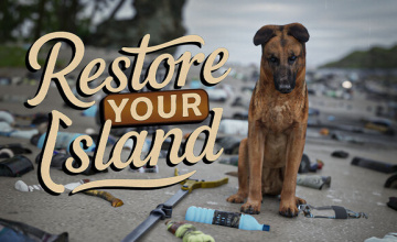 Restore Your Island
