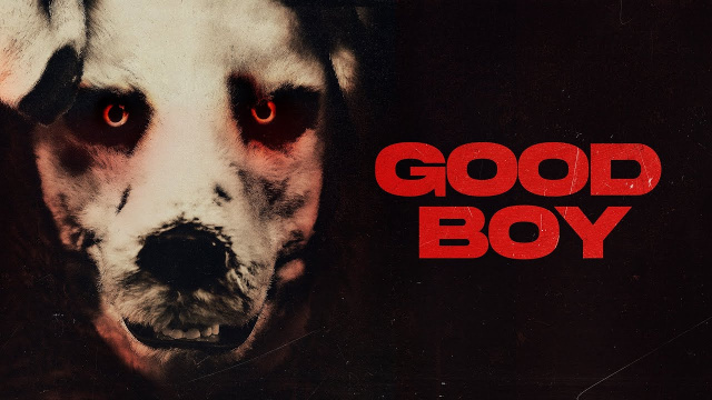 GOOD BOY: Deutscher TrailerNews  |  DLH.NET The Gaming People