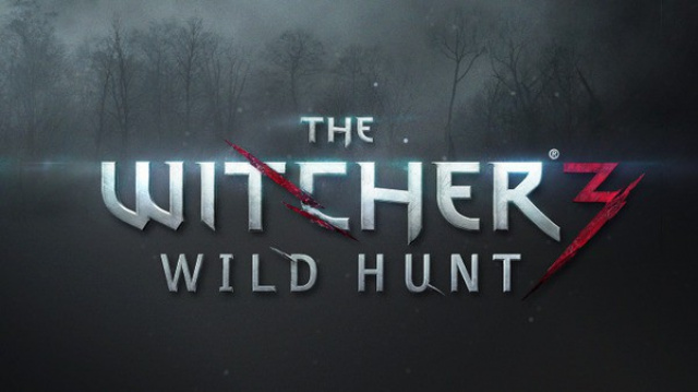 Release Date of The Witcher 3: Wild Hunt – An Open LetterVideo Game News Online, Gaming News