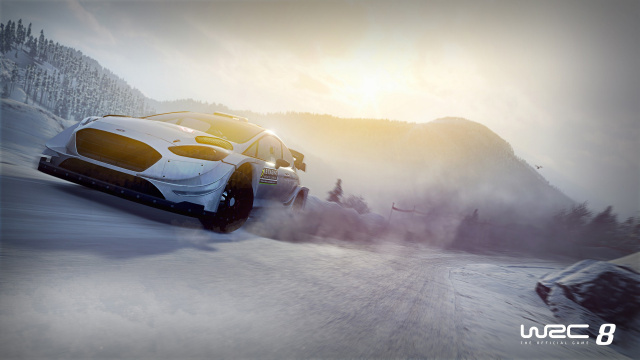 WRC 8: Profifahrer der WRC treten in Esports-Turnier gegeneinander anNews  |  DLH.NET The Gaming People