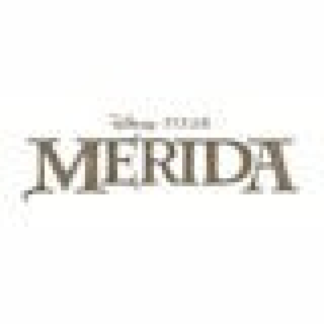 Merida - Legende der Highlands ab heute für Wii, Nintendo DS, PC und MAC im HandelNews - Spiele-News  |  DLH.NET The Gaming People