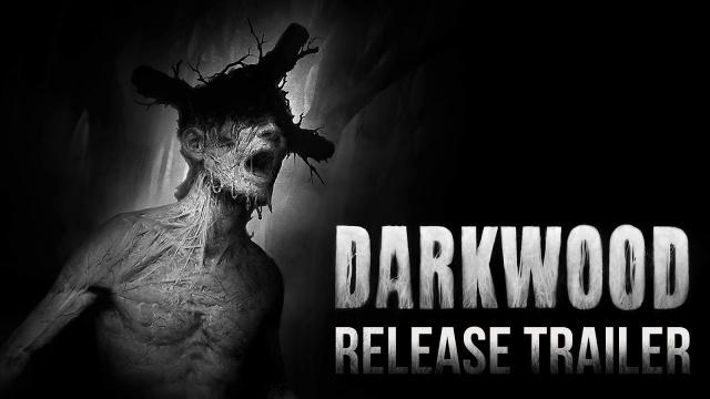 Darkwood вышла на SteamНовости Видеоигр Онлайн, Игровые новости 