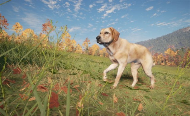 Der Labrador Retriever kommt ab heute in theHunter: Call of the Wild angesprungenNews  |  DLH.NET The Gaming People