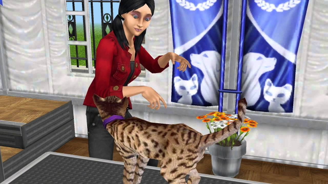 Haustiere erwünscht: Katzen & Hunde in Die Sims FreePlay erziehen und pflegenNews - Spiele-News  |  DLH.NET The Gaming People