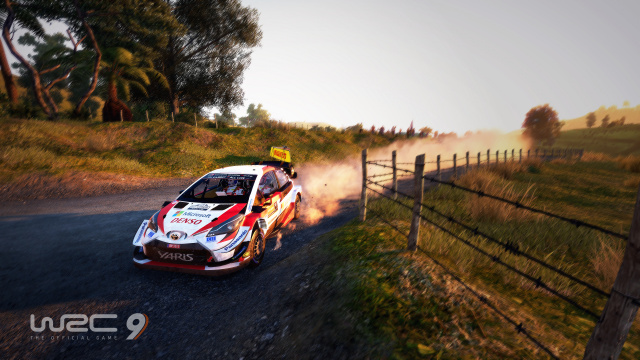 FIA Rally Star - Mit WRC 9 zum echten Rallye-Fahrer werdenNews  |  DLH.NET The Gaming People