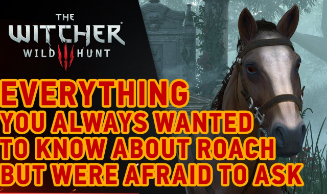 The Witcher III New DLC