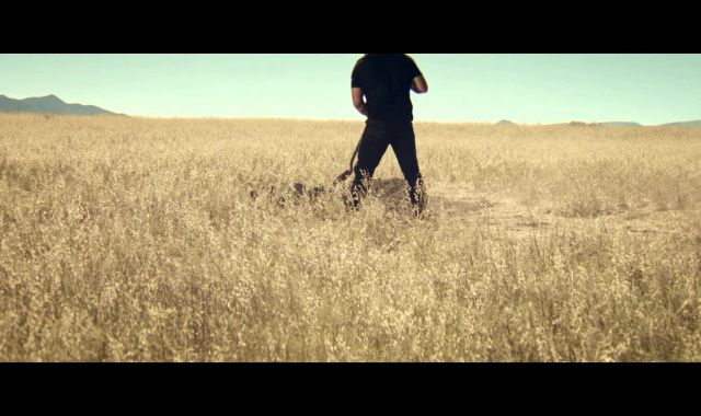 2K kündigt Stone Cold Steve Austin als Cover-Superstar für WWE 2K16 an