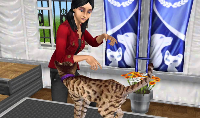 Haustiere erwünscht: Katzen & Hunde in Die Sims FreePlay erziehen und pflegen