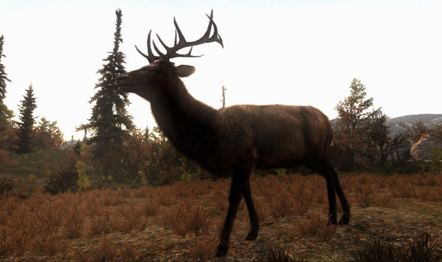 Cabelas Big Game Hunter: Pro Hunts ab sofort erhältlich